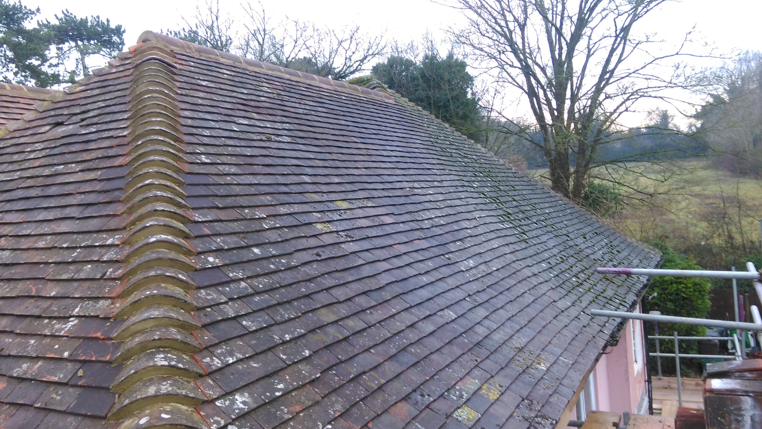 Weathered slate roof with moss, surrounded by trees and scaffolding for AMBS Eco Solutions' building maintenance services.