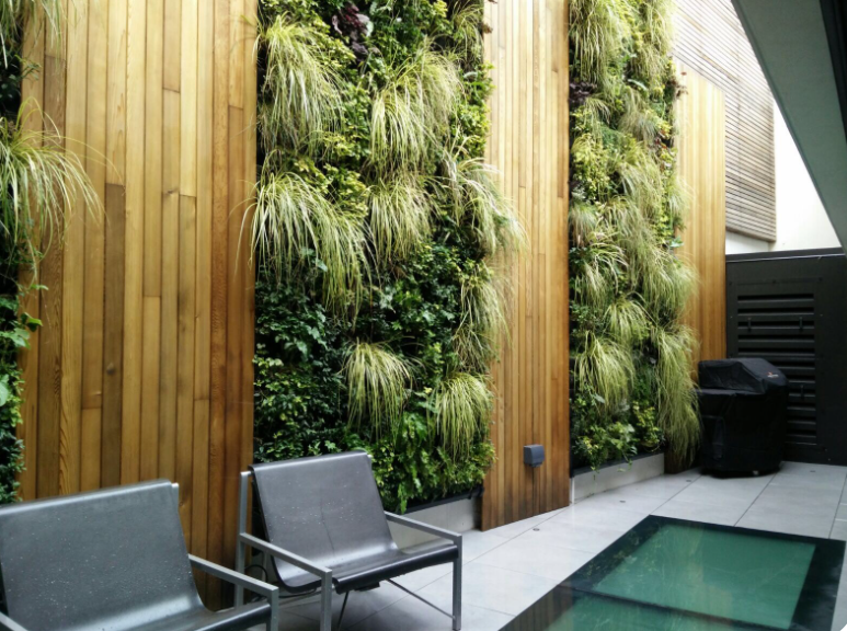 Modern outdoor space with vertical gardens and seating, showcasing AMBS Eco Solutions' landscape gardening design.